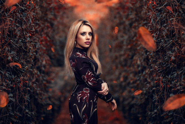 Обои картинки фото девушка, девушки, -unsort , блондинки,  светловолосые, модель