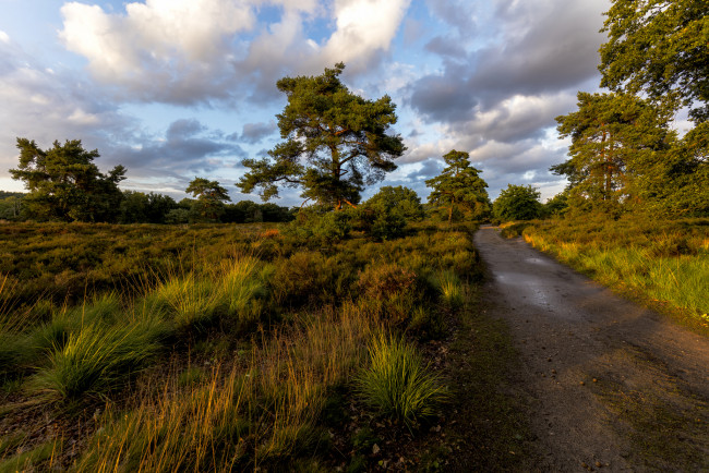 Обои картинки фото природа, дороги, простор