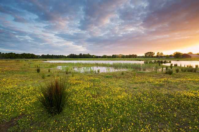 Обои картинки фото природа, пейзажи, простор