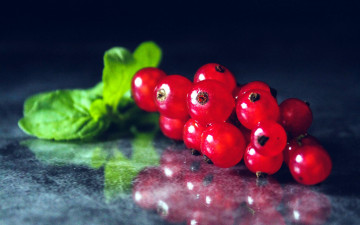 Картинка еда смородина ягоды красная