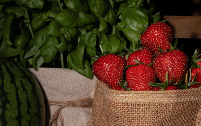 Обои картинки фото еда, фрукты,  ягоды, базилик, арбуз, клубника