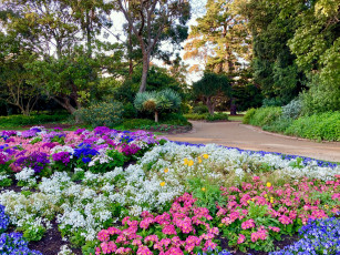 Картинка природа парк клумба аллея