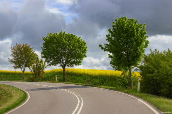 Картинка природа дороги дорога