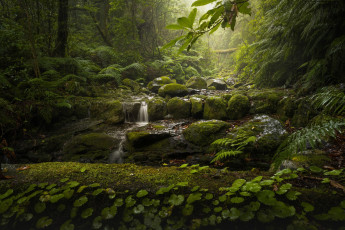 Картинка природа водопады мадейра