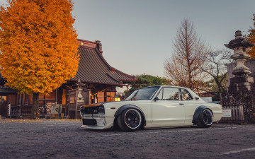 Картинка автомобили nissan datsun