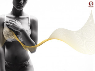 Картинка venus бренды