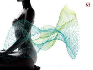 обоя venus, бренды