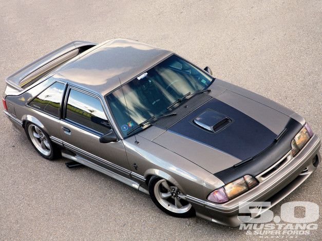 Обои картинки фото автомобили, mustang