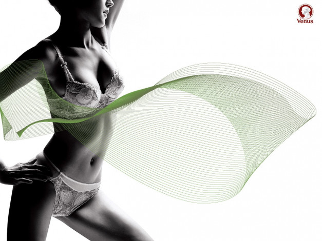 Обои картинки фото venus, бренды