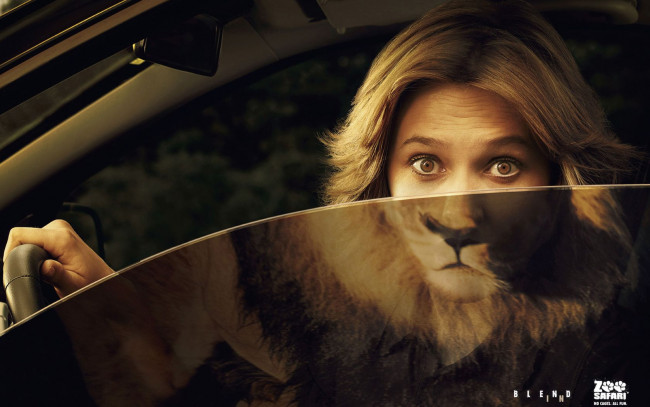 Обои картинки фото юмор, приколы