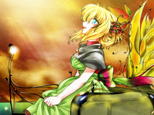 Картинка аниме *unknown другое девушка