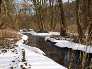 Картинка природа реки озера Чехия