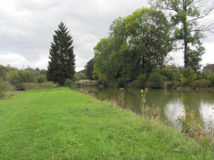 Картинка природа реки озера деревья река ели