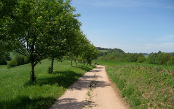 Картинка природа дороги деревья дорога