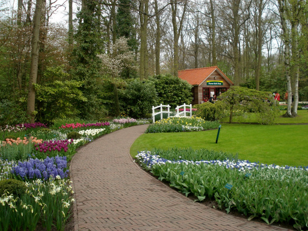 Обои картинки фото природа, парк, цветы, мостик, дорожка