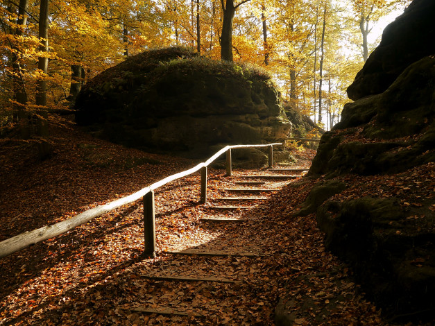 Обои картинки фото природа, парк, лестница
