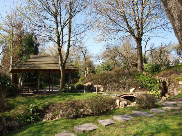 Обои картинки фото природа, парк, японский, сад