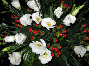 Картинка цветы эустома букет