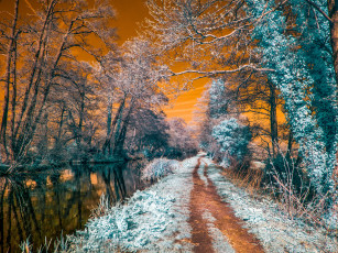 Картинка природа реки озера дорога река лес осень