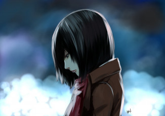 Картинка аниме shingeki+no+kyojin single mikasa ackerman attack on titan female