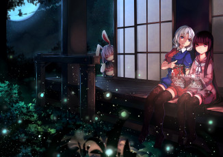 Картинка аниме touhou yagokoro eirin ouhou houraisan kaguya reisen udongein inaba kirisame marisa тохо трава свет светляки ночь девушки tewi звезды небо ножки чулки луна