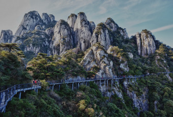 Картинка природа горы мост лес скалы