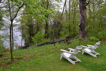 Картинка природа реки озера зелень деревья озеро