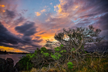 Картинка природа восходы закаты тучи растительность холм