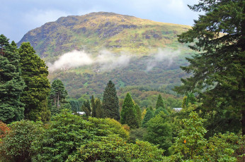Картинка природа горы великобритания деревья леса dunoon