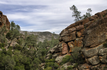 Картинка природа горы облака лес скалы