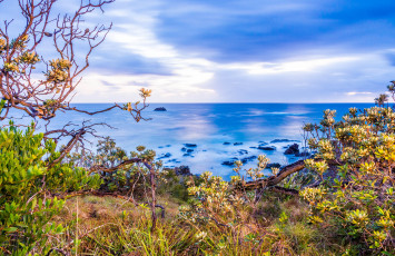 обоя природа, моря, океаны, горизонт, океан, растительность, берег