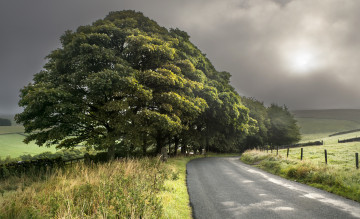 Картинка природа дороги дорога поле дерево