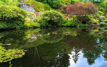 Картинка butchart+gardens+canada природа парк canada цветы кусты gardens butchart