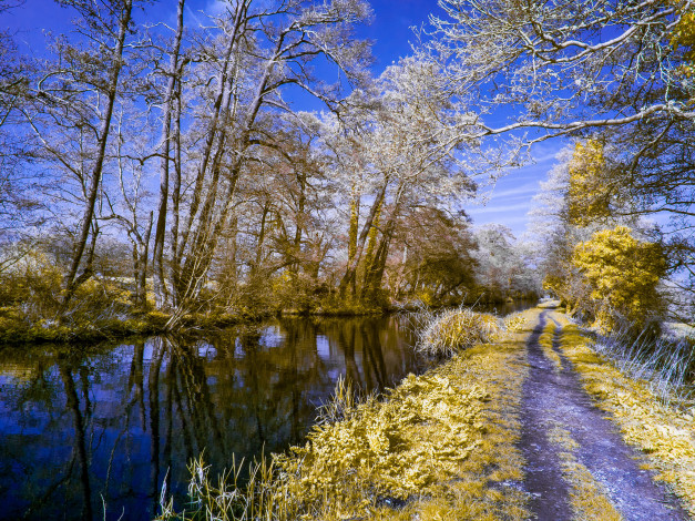 Обои картинки фото природа, реки, озера, река, дорога, осень, лес