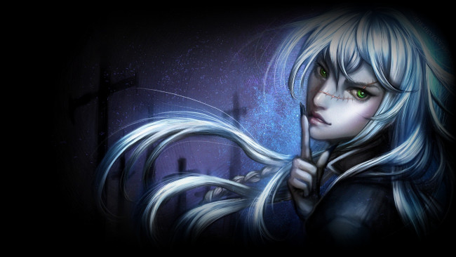 Обои картинки фото аниме, kuroshitsuji, шрам, парень, глаза, зелёные, взгляд, длинные, белые, волосы, могильщик, арт, дворецкий, тёмный