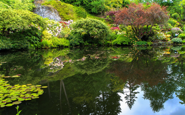 Обои картинки фото butchart gardens canada, природа, парк, canada, цветы, кусты, gardens, butchart