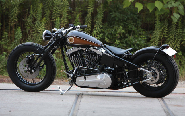 Обои картинки фото мотоциклы, customs, motorcycle