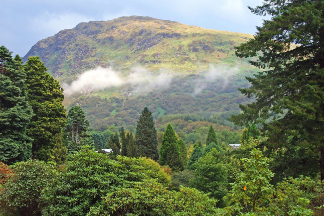 Обои картинки фото природа, горы, великобритания, деревья, леса, dunoon