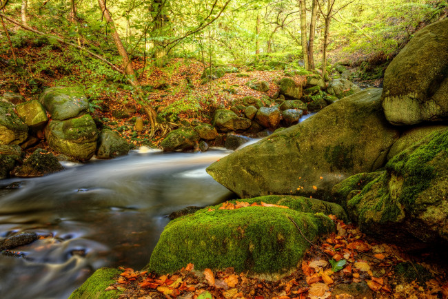 Обои картинки фото природа, реки, озера, мох, лес, камни