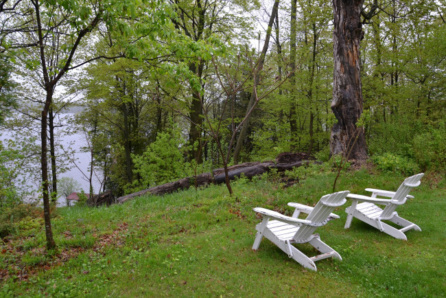 Обои картинки фото природа, реки, озера, зелень, деревья, озеро