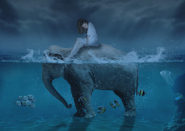 Обои картинки фото разное, компьютерный дизайн, слон, девушка, рыба