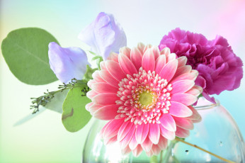 Картинка цветы букеты +композиции гербера букет макро