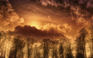 Картинка разное компьютерный+дизайн обработка небо деревья daydreaming