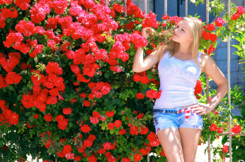 Картинка девушки -unsort+ блондинки блондинка розы