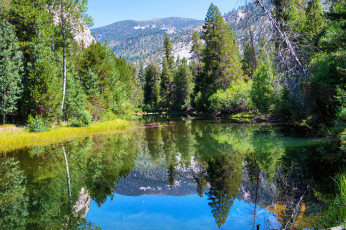 Картинка природа реки озера река горы лес