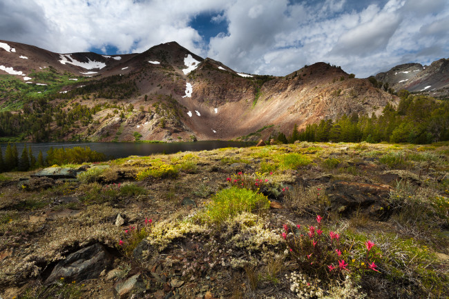 Обои картинки фото природа, реки, озера, река, лес