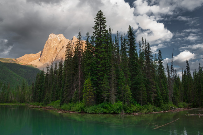 Обои картинки фото природа, реки, озера, река, лес