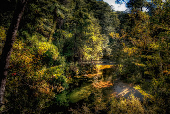 Картинка природа реки озера лес река