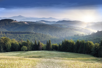 Картинка природа пейзажи горы деревья цветы поле лес долина пейзаж небо