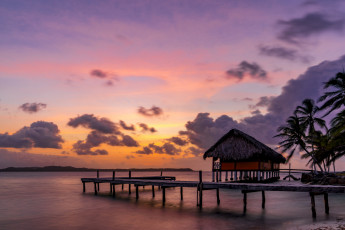 Картинка природа тропики рассвет